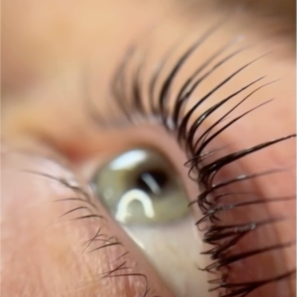 Korean Lashlift Live-Training