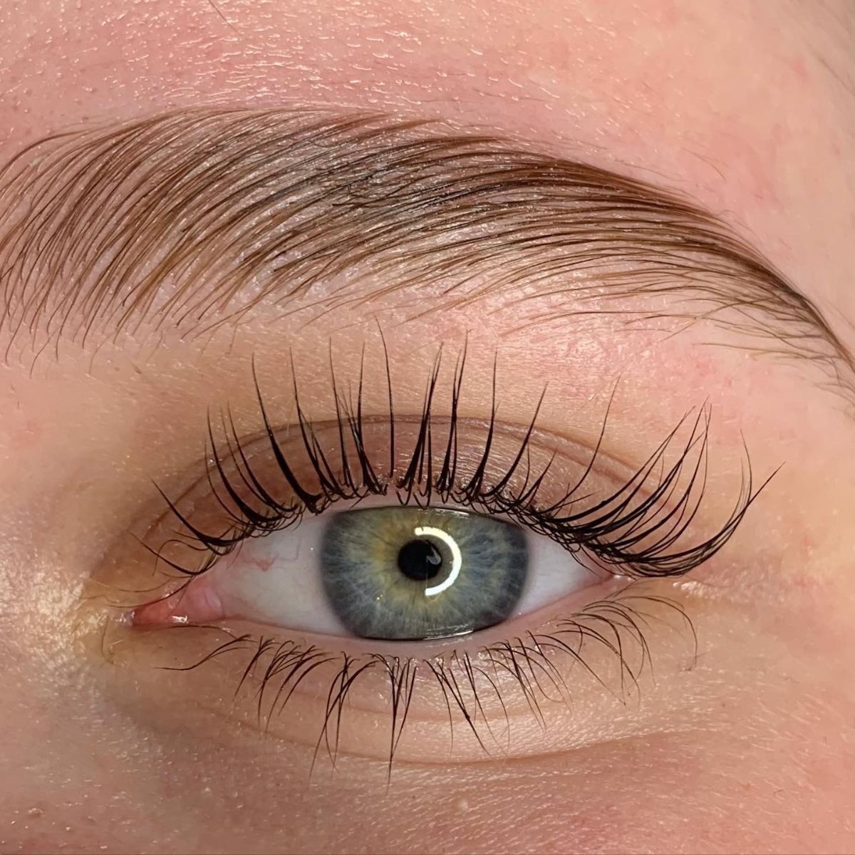 Lash & Brow Lifting System