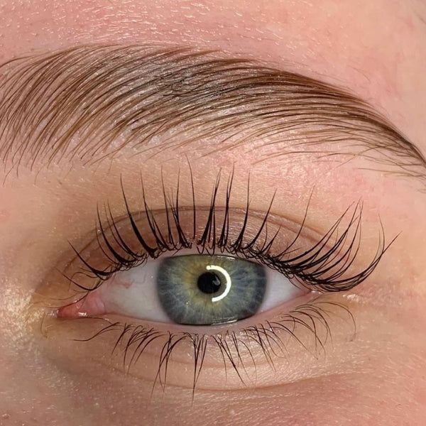 Gratis Lashlift Live-Training