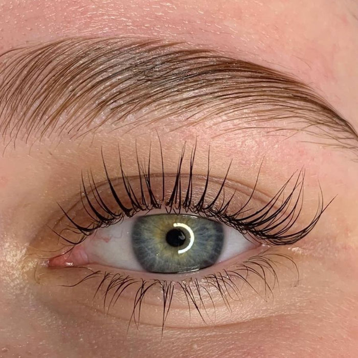 Gratis Lashlift Live-Training