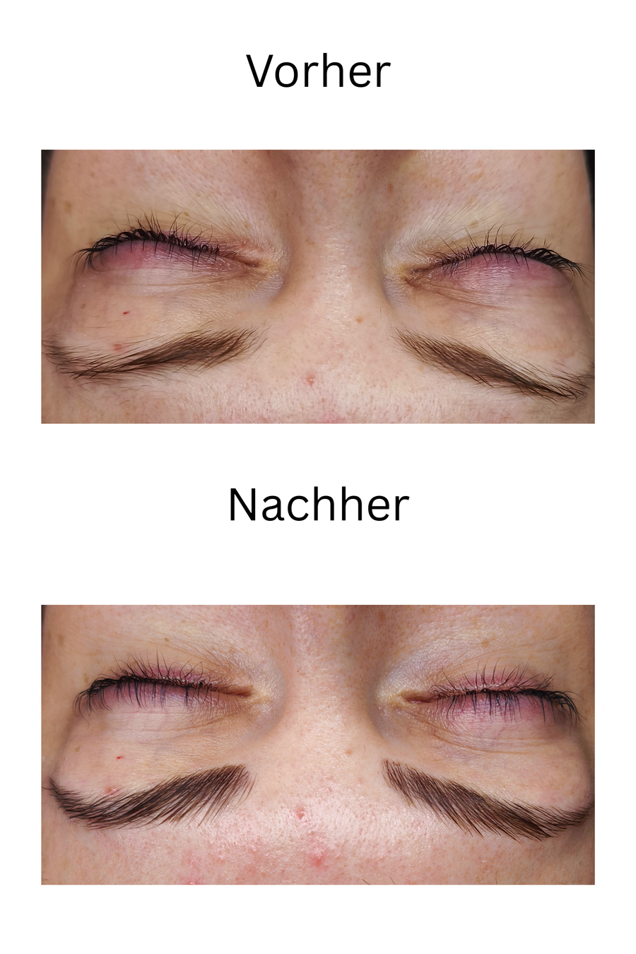 Vorher / Nachher · Modellarbeit aus dem Browlift Online-Kurs